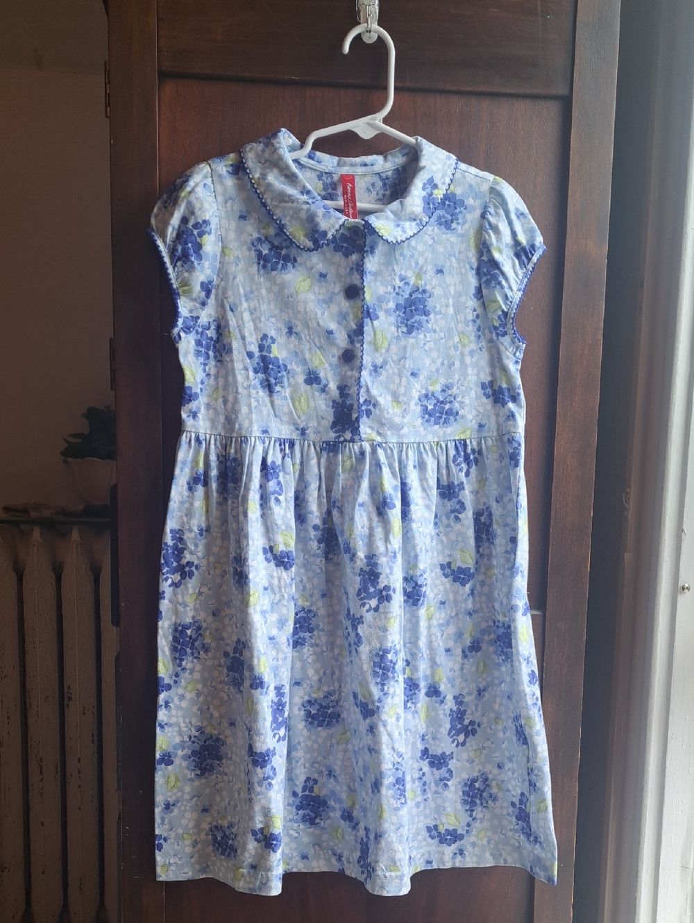 Hanna Andersson Girls Size 110 (5/6) Blue Floral Peter Pan Collar Dress